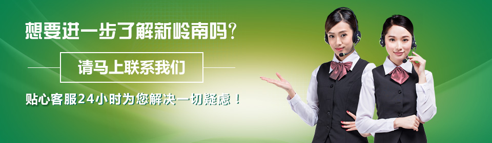 想要进一步了解新岭南吗？请马上与我们联系 手摇手电筒